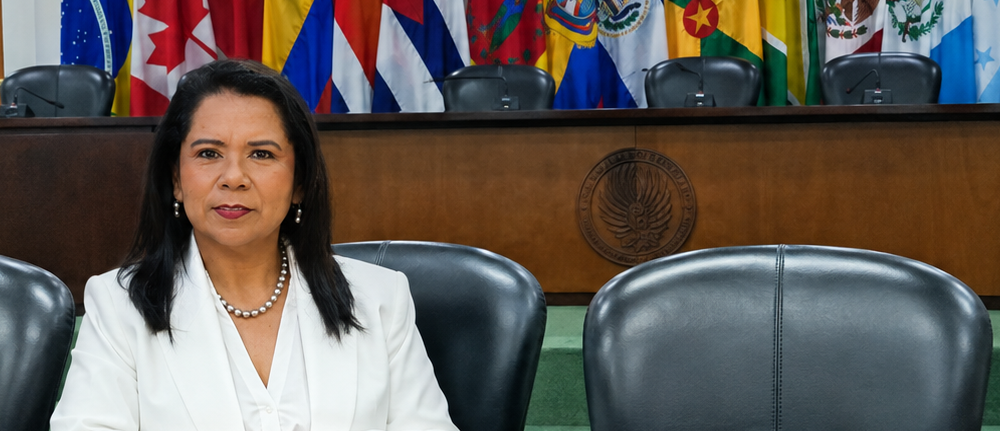 Participa Unison Navojoa en congreso en Costa Rica sobre niñez, adolescencia y familia